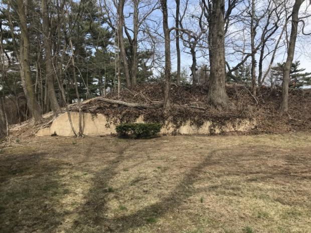 Sam & Dave’s “Excellent 2019 Vanderbilt Day”- #8 Garden City