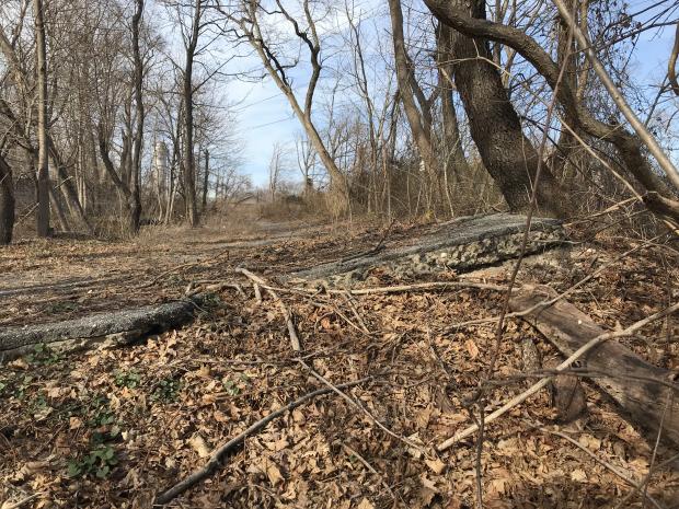 Sam & Dave’s “Excellent 2019 Vanderbilt Day”- #10 Bethpage #1