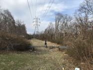 Field Trip to Explore the Bethpage Section of the Motor Parkway This Saturday Morning