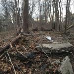 Sam & Dave’s Excellent “Lost” Motor Parkway Adventure V: The Motor Parkway East of Roslyn Road