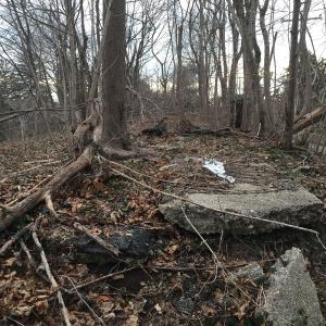 Sam & Dave’s Excellent “Lost” Motor Parkway Adventure V: The Motor Parkway East of Roslyn Road