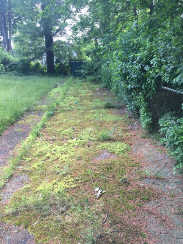 Motor Parkway Pavement Rediscovered in Albertson/Williston Park -Updated June 27, 2017