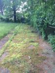 Motor Parkway Pavement Rediscovered in Albertson/Williston Park -Updated June 27, 2017