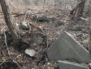 Sammy & Dave’s “Excellent 2020 Vanderbilt Day”: Scouting the South Side of Westbury Avenue in Mineola/Carle Place