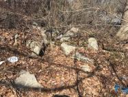 Dave Russo re-explores a Bethpage section of the Motor Parkway