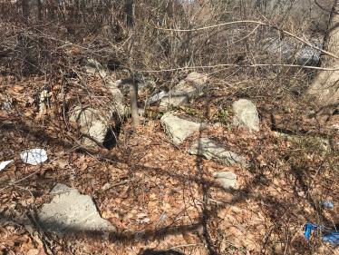 Dave Russo re-explores a Bethpage section of the Motor Parkway