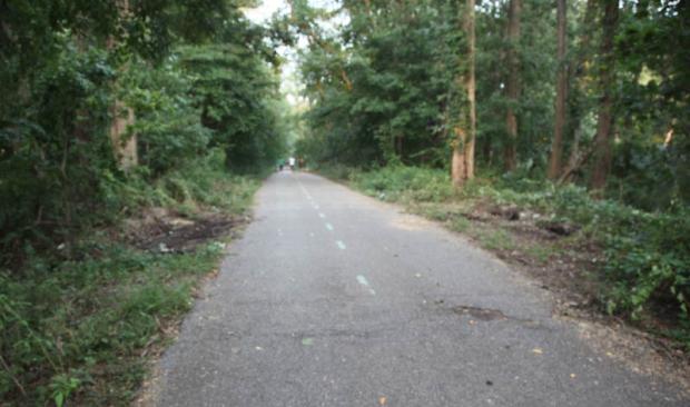 Current Views of the Motor Parkway in Queens County