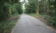 Current Views of the Motor Parkway in Queens County