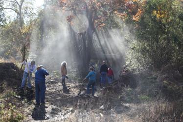 Highlights from the Second Clean Up the Old Bethpage Motor Parkway Bridge Day
