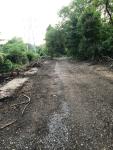 The Garden City News: Village lease to add parking at Stewart athletic fields