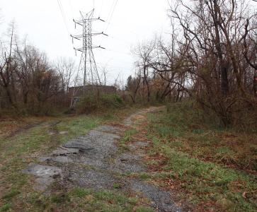 Clean Up the Historic Deadman’s Curve in Bethpage on Saturday, June 22, 2013