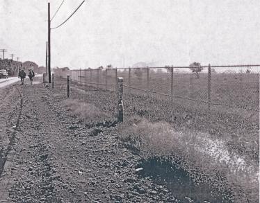 Kleiner’s Kolumn: Revisiting the Transformation of the Motor Parkway into Salisbury Park Drive