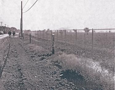 Mystery Foto #25 Solved: Salisbury Park Drive in East Meadow/Salisbury in the 1940s and  Much More
