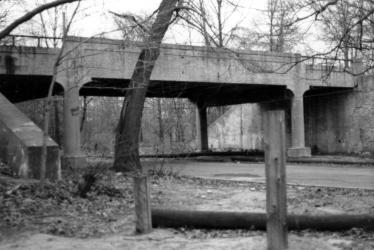 Sam Berliner III: A 1970 Walking Tour of the Motor Parkway in Queens