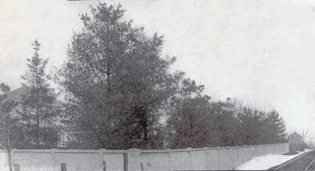  Mystery Foto #31 Solved: The Grave’s Garage on Searing Avenue in Mineola
