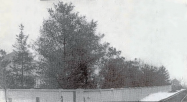  Mystery Foto #31 Solved: The Grave’s Garage on Searing Avenue in Mineola