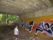 A CALL TO ACTION: The Old Bethpage Village Restoration Motor Parkway Bridge