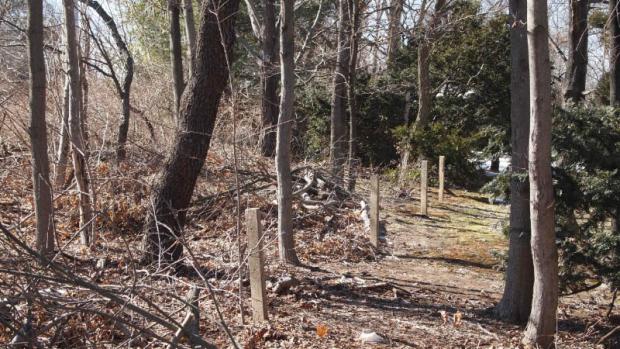 Art Kleiner’s  Exploration #1: The Motor Parkway near Colonial Springs Road  in Wheatley Heights