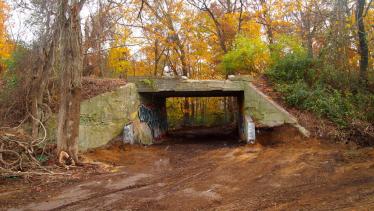 Third Clean Up the Old Bethpage Motor Parkway Bridge Day Scheduled for Saturday, December 3, 2011