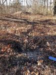 Exploring the Motor Parkway in Wheatley Heights
