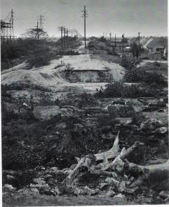 Mystery Foto #43 Solved : A 1955 View of the Motor Parkway in Levittown Looking West