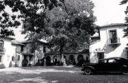 Rare Photos of Chrysler’s Chrysler at the Vanderbilt Museum in 1986