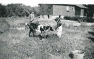 Update: VanderbiltCupRaces.com Exclusive: Memories of Living in the Huntington Lodge in Melville