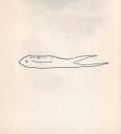 Mystery Foto #36 Unveiled: Christopher Morley’s Cat Teaches How to Draw A Map of Long Island in 1927