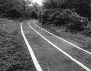 Mystery Foto #41 Solved: A 1938 View of the Queens Motor Parkway Bike Path Looking West from Bell Boulevard
