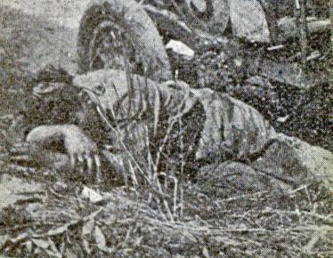 Mystery Foto #3 Solved:Driver Arthur Chevrolet After His Marquette-Buick Broke Down in the 1910 Race