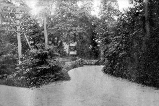 Mystery Foto #31 Solved: Then & Now: A Roslyn Curve on the 1906 Vanderbilt Cup Race Course