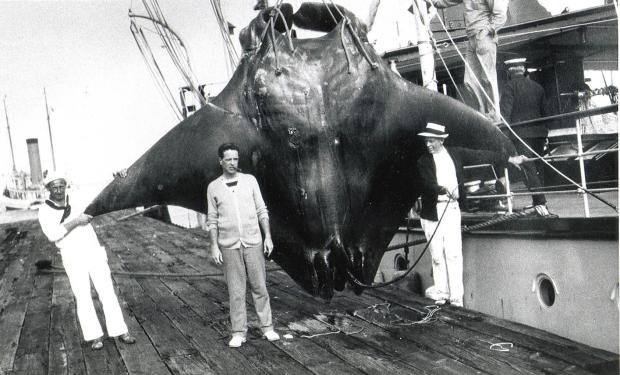 Film “William K. Vanderbilt Jr.‘s Eagle Nest Home”